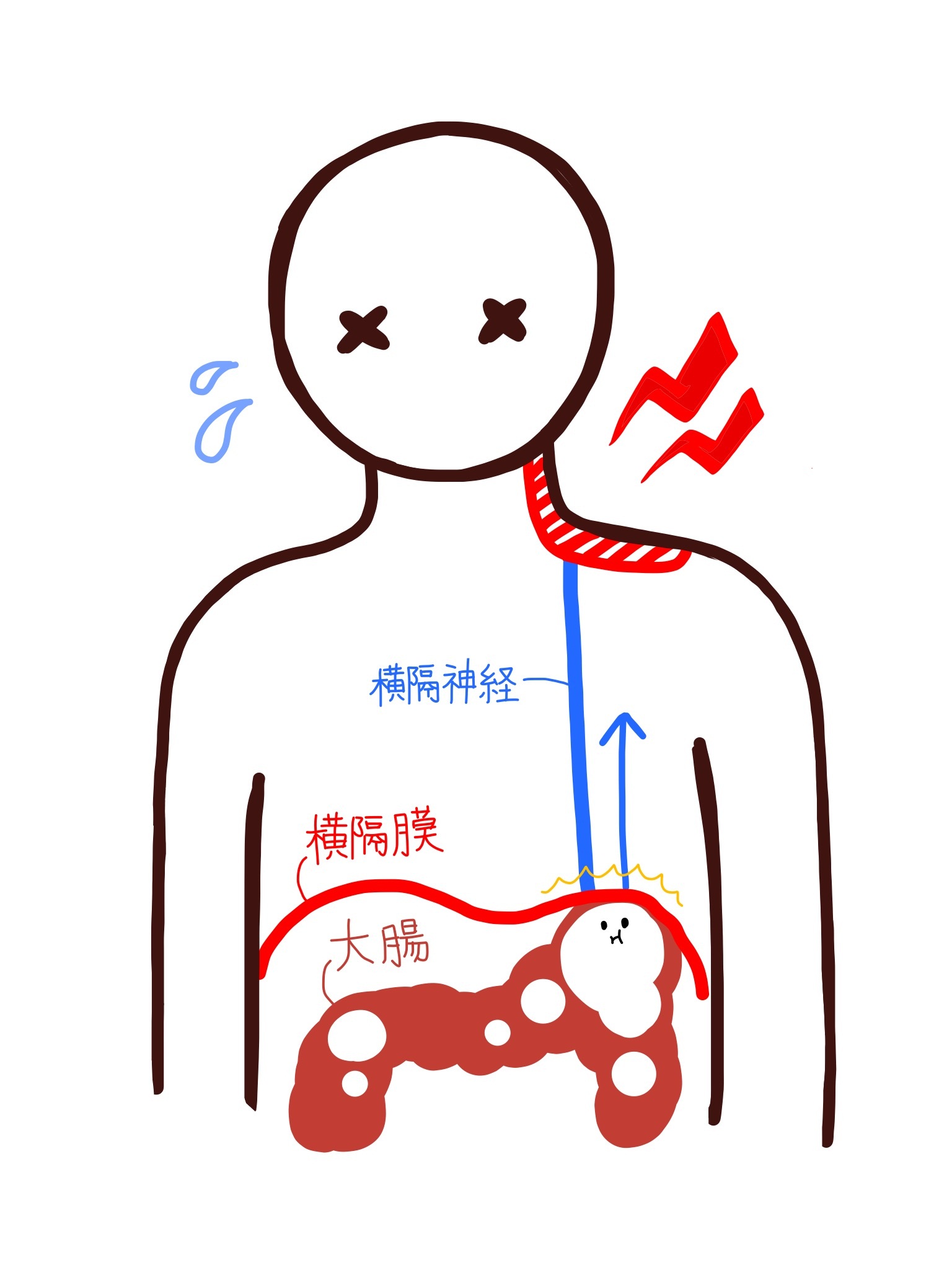 でる が お なら たくさん