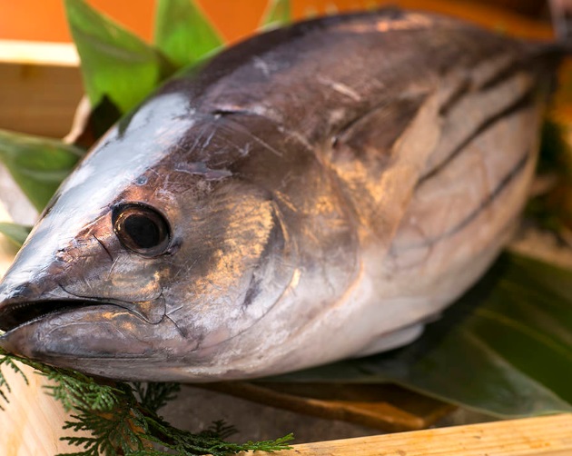 塩たたきもご用意しております。漁師さんが釣ったばかりの鰹を塩で食べていたのが塩タタキの始まりとか。鮮度抜群の鰹の塩タタキのおいしさは言葉では言い表せないほど