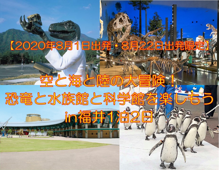 空と海と陸の大冒険!恐竜と水族館と科学館を楽しもうin福井1泊2日