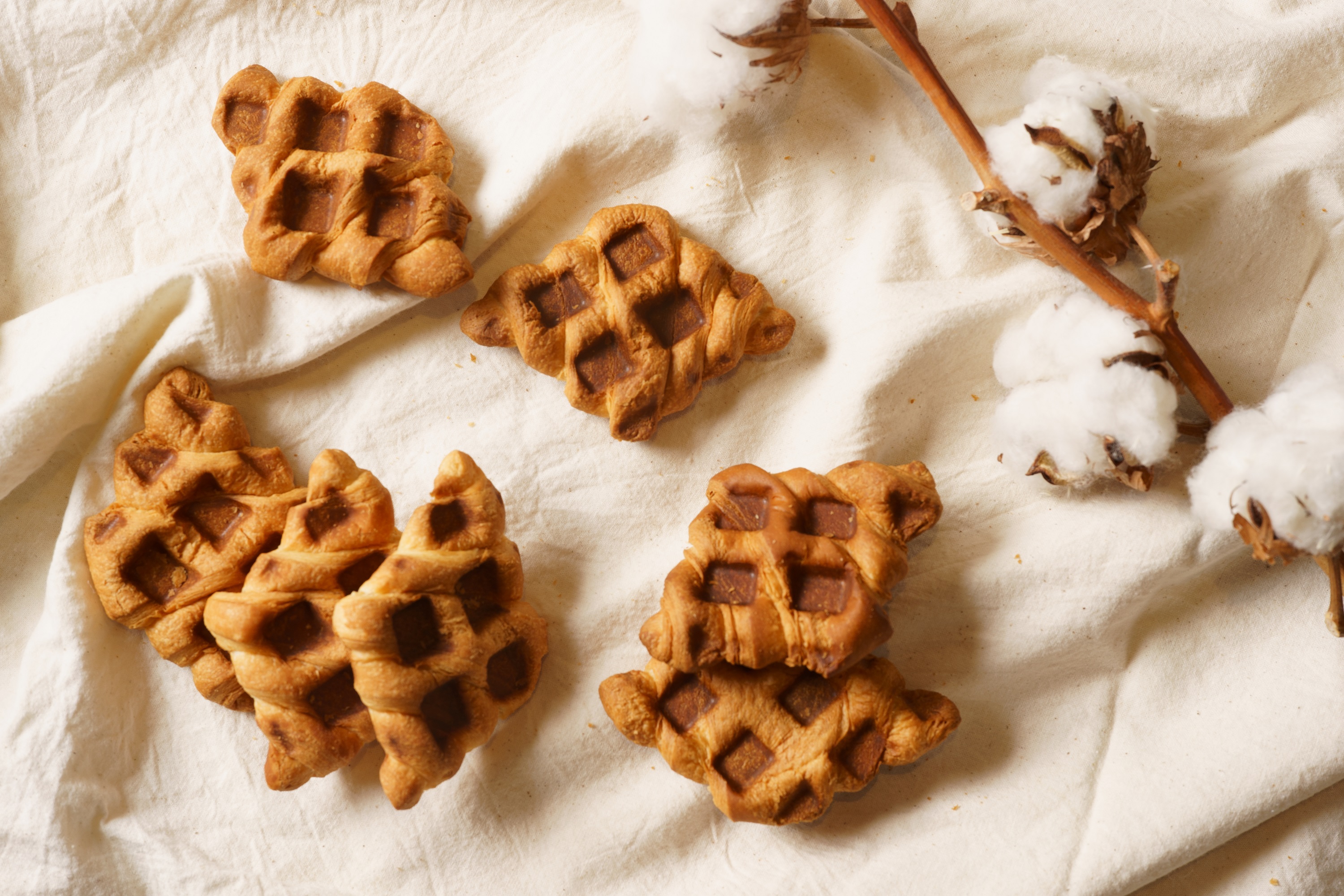 4a533fb451a551fe5a97170fcd4ec4