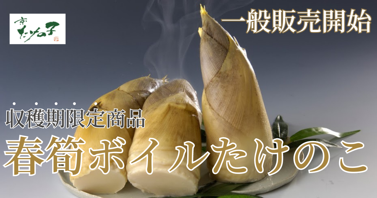 京都 長岡京　西山産　朝掘採れたて筍【4/13(土)収穫&amp;発送】 京都 長岡京 西山産 朝掘採れたて筍【4/13(土)収穫&発送】の通販