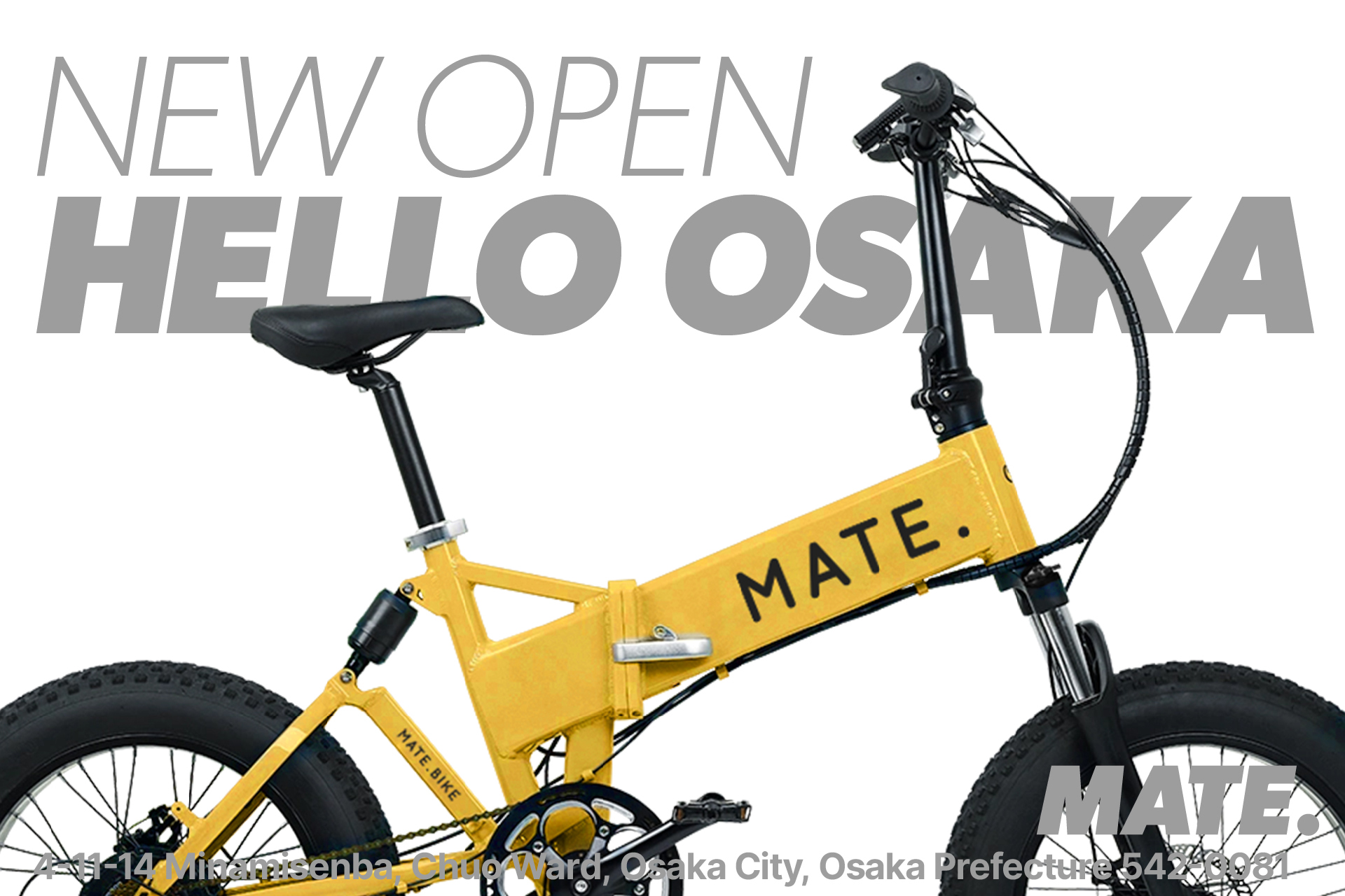 新品MATE BIKE MATE X 250 メイトフュージョンメイトバイク