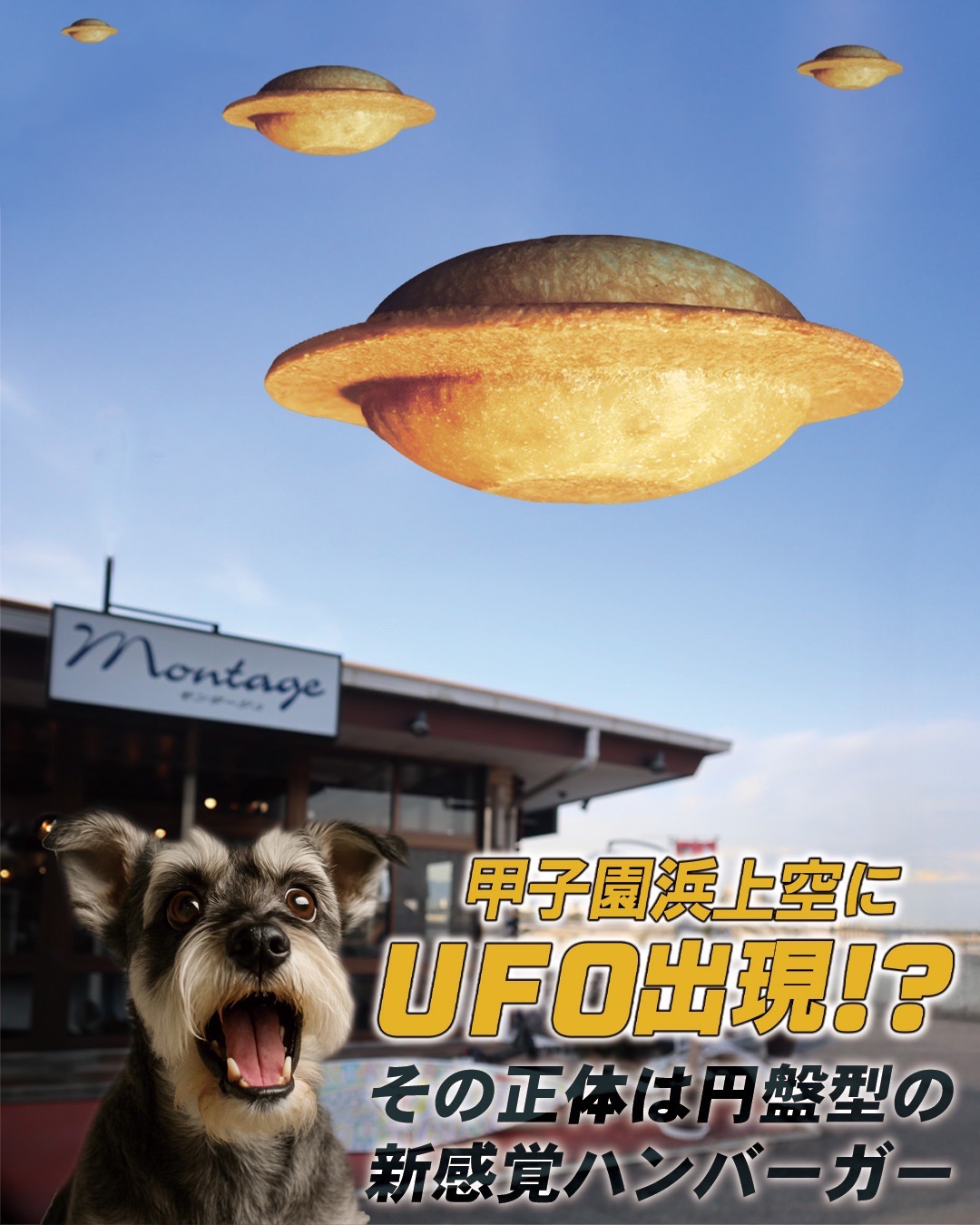 甲子園浜上空にUFO出現!? その正体は円盤型の新感覚ハンバーガー!!│PR