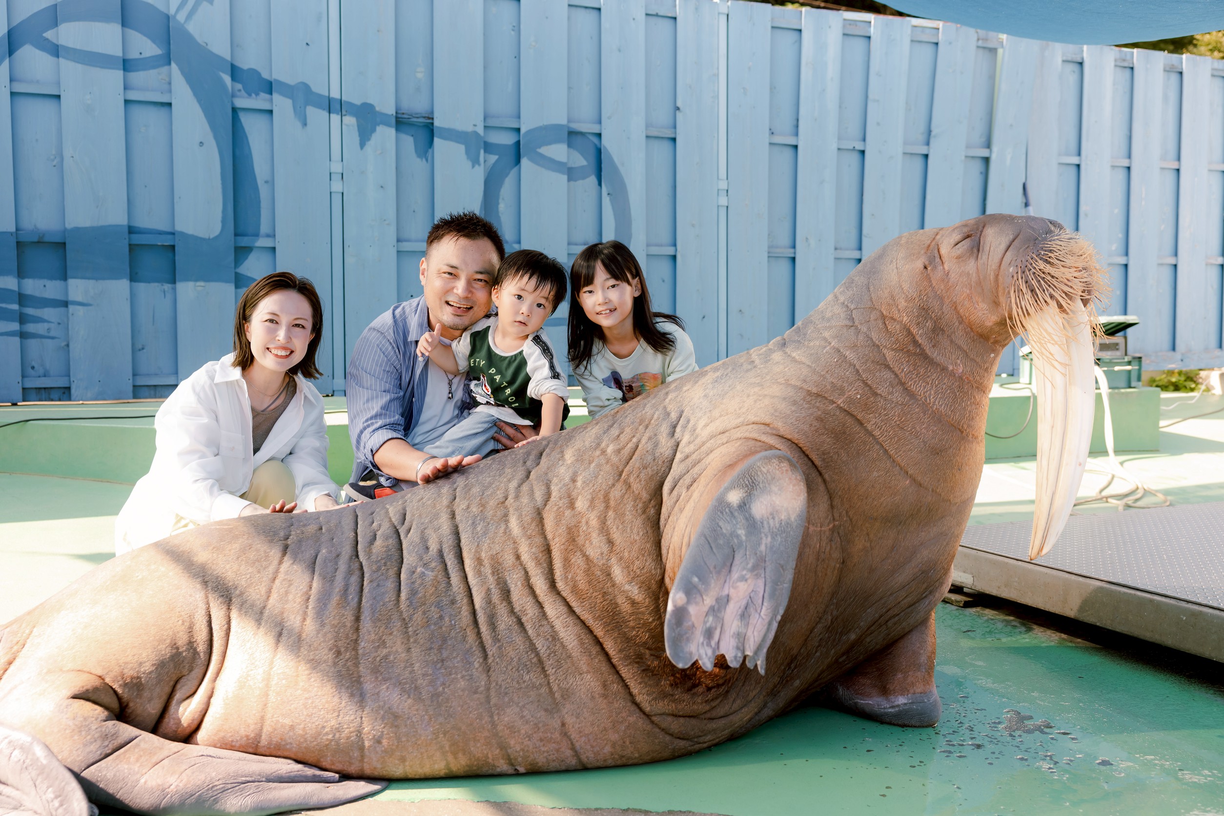 今年のお盆は最大9連休！関西から日帰りOK！
ふれあい満載の“近すぎる”水族館が家族旅に◎
自由研究のネタ探しに最適！チンアナゴのチュロスも8月1日より新発売