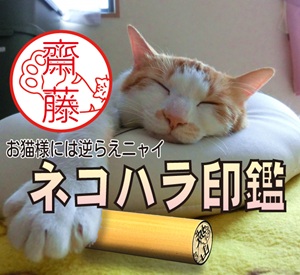 メインタイトル