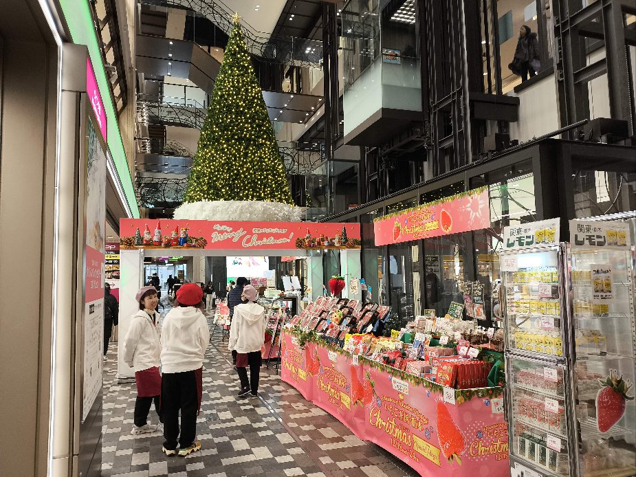 過去開催の様子(2024年)