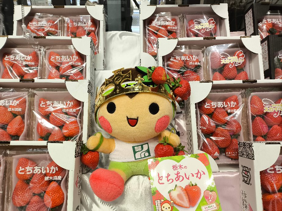 とちあいか・スカイベリー 生パック(各1,280円)