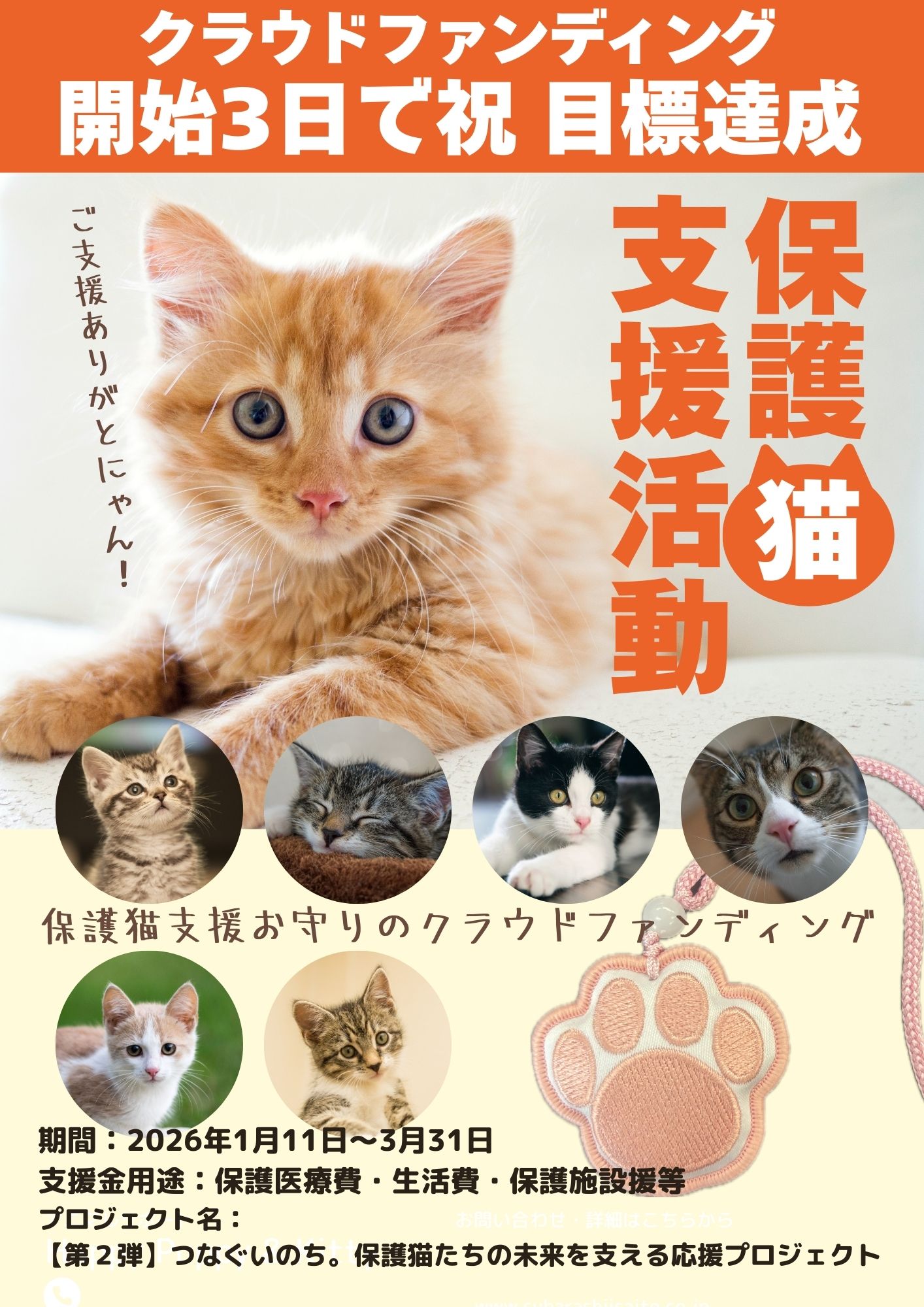 祝・目標達成！大阪・泰聖寺発！保護猫支援「愛猫 健康成就お守り」がクラウドファンディング開始からわずか3日で目標達成！！～ あなたの愛猫に、健康と長寿と幸せを。猫たちに未来を。～