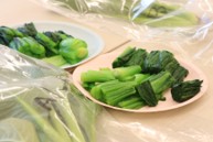 小松菜の食べ比べを実施