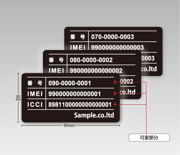 file2_title thumb
