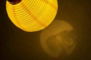 file7_title thumb
