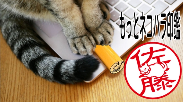 main image thumb